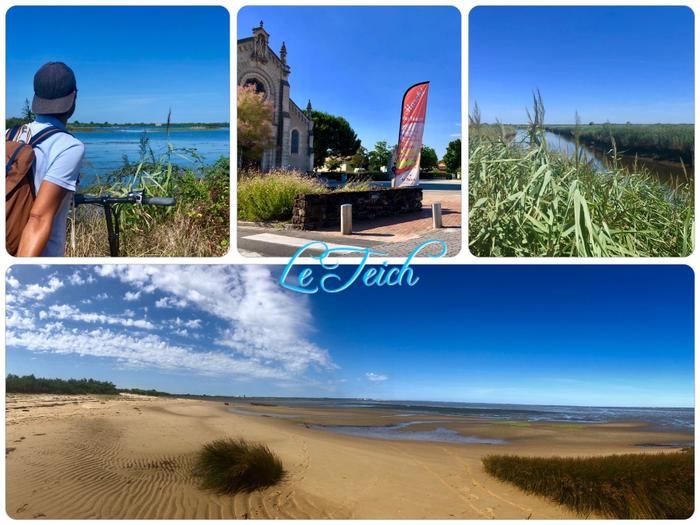 Le teich immobilier