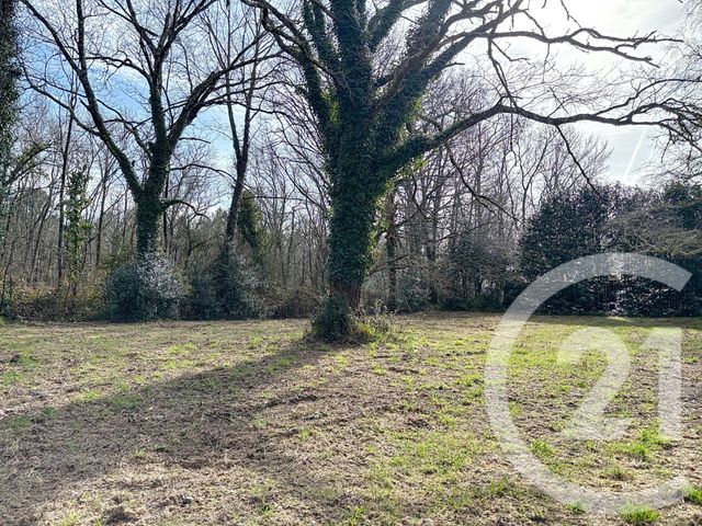 Terrain à vendre - 7711 m2 - Mios - 33 - AQUITAINE