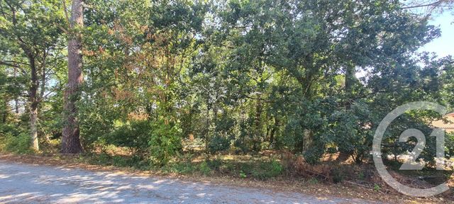 Terrain &agrave; vendre - 1285 m2 - Marcheprime - 33 - AQUITAINE