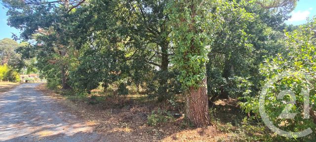 Terrain &agrave; vendre - 1285 m2 - Marcheprime - 33 - AQUITAINE
