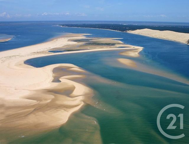 Appartement T2 &agrave; vendre - 2 pi&egrave;ces - 43 m2 - La Teste De Buch - 33 - AQUITAINE