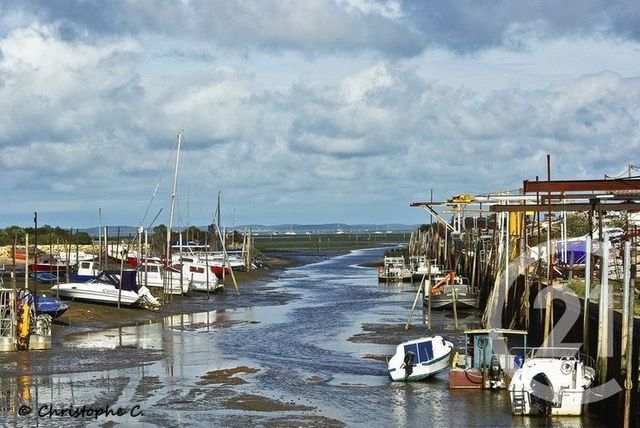 Terrain à vendre - 720 m2 - La Teste De Buch - 33 - AQUITAINE