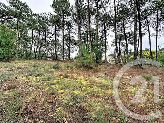 Terrain &agrave; vendre - 3796 m2 - Gujan Mestras - 33 - AQUITAINE