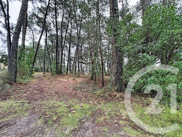 Terrain &agrave; vendre - 3796 m2 - Gujan Mestras - 33 - AQUITAINE