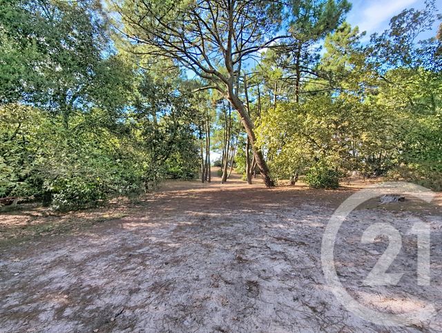 Appartement F4 &agrave; vendre - 4 pi&egrave;ces - 84 m2 - Arcachon - 33 - AQUITAINE