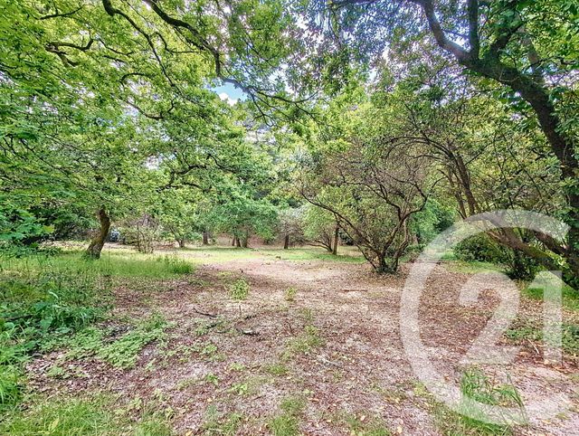 Terrain à vendre - 1050 m2 - Arcachon - 33 - AQUITAINE