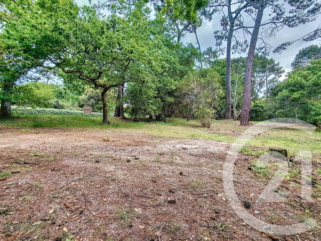 Terrain à vendre - 1050 m2 - Arcachon - 33 - AQUITAINE